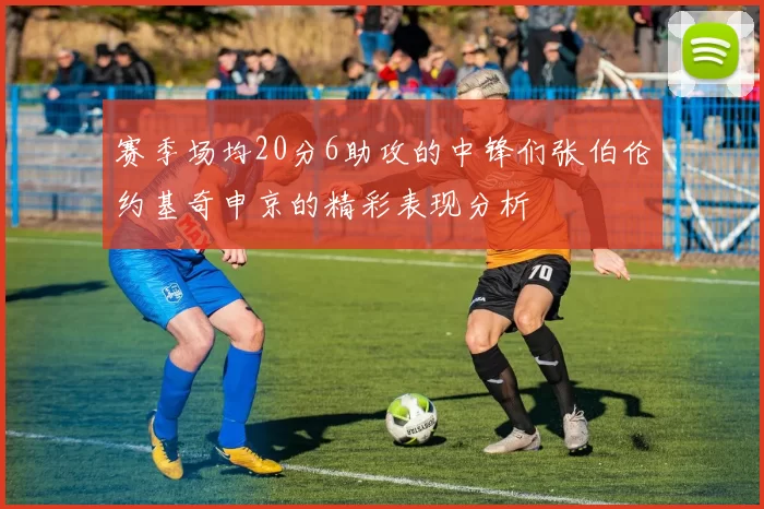 赛季场均20分6助攻的中锋们张伯伦约基奇申京的精彩表现分析