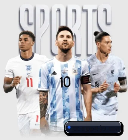 五大服务分区,信息按项目分类 - 多运动项目内容板块